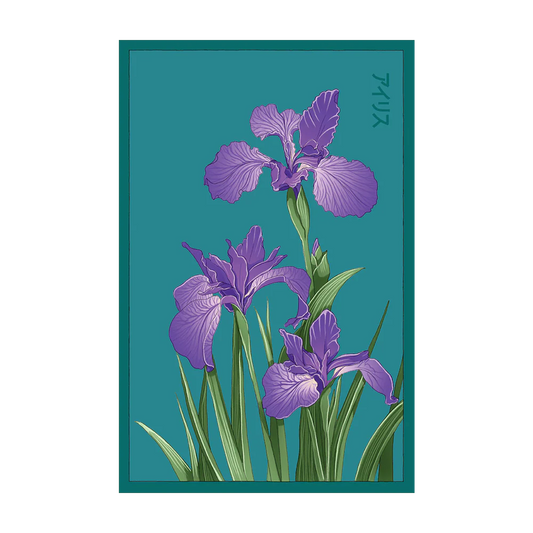 Shido Iris Seed Packet