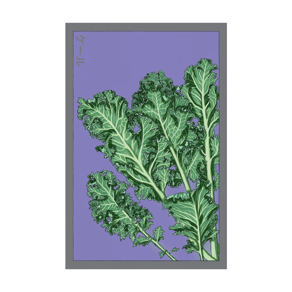 Shido Kale Seed Packet