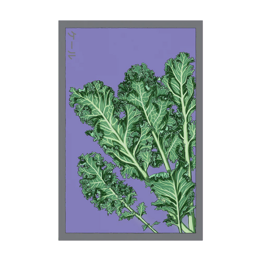 Shido Kale Seed Packet