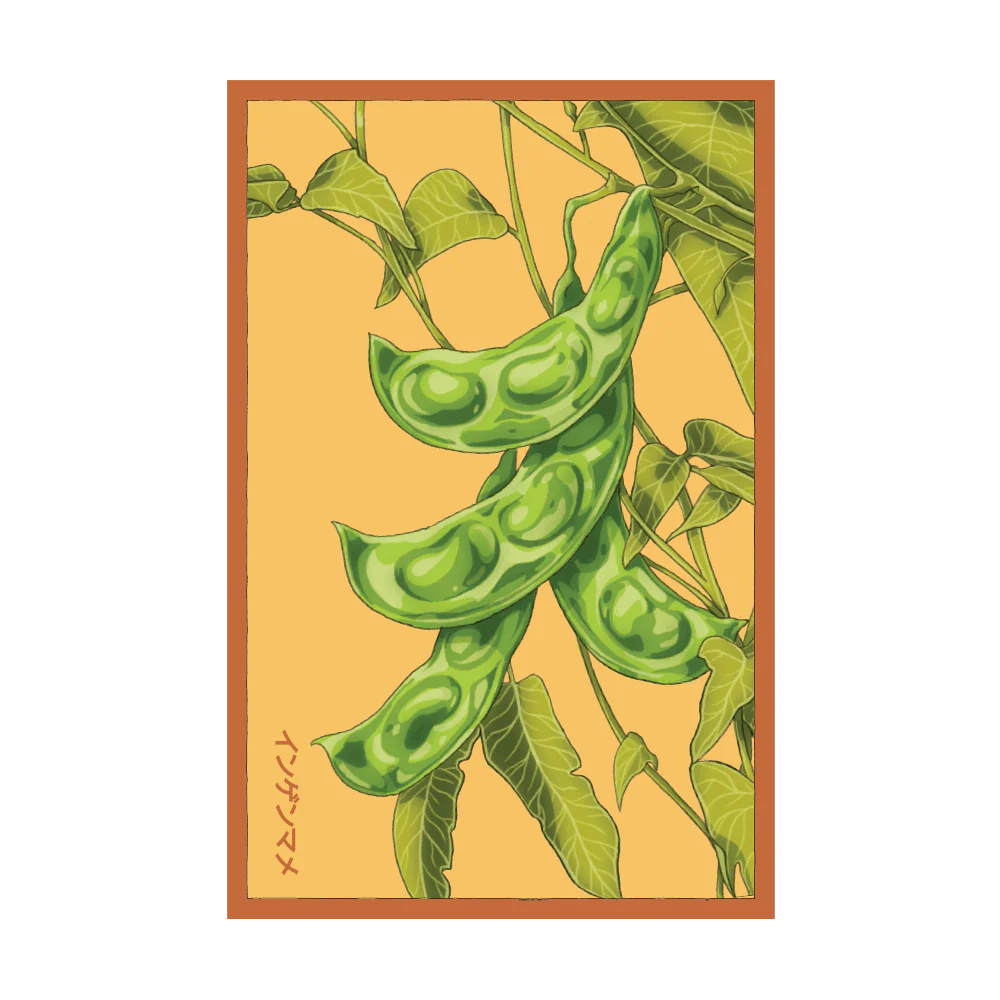 Shido King of the Garden Bean Seed Packet