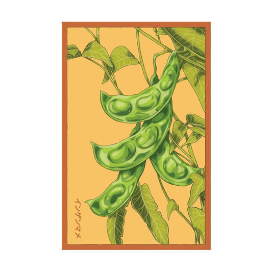Shido King of the Garden Bean Seed Packet