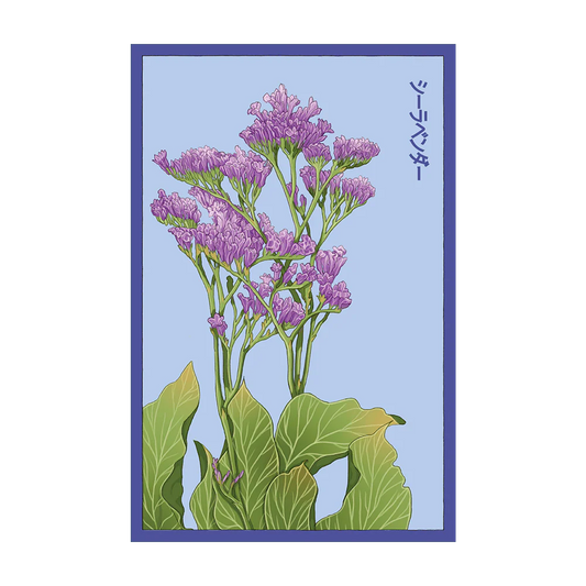 Sea Lavender Seed Packet