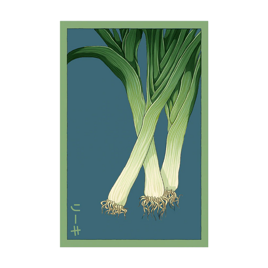 Shido Leek Seed Packet