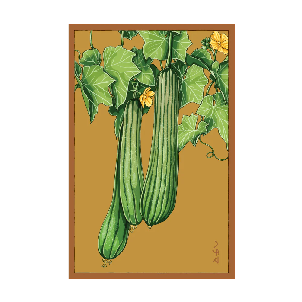 Shido Luffa Sponge Seed Packet