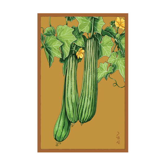 Shido Luffa Sponge Seed Packet