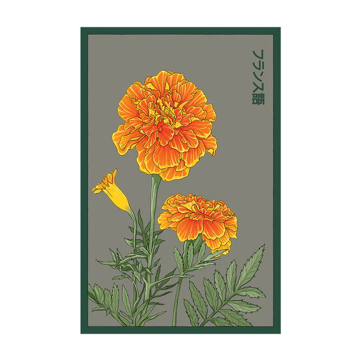 Shido French Marigold Seed Packet