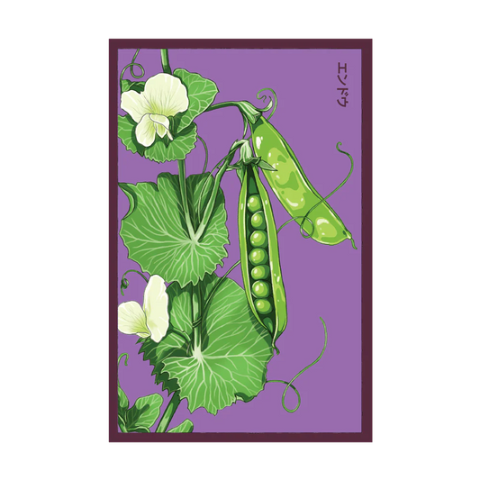 Shido Little Marvel Pea Seed Packet