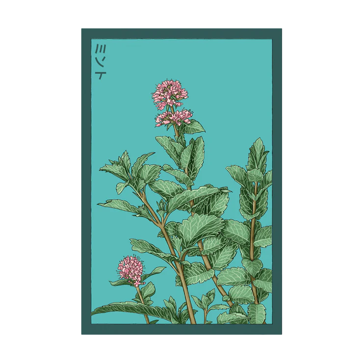 Shido Mint Seed Packet