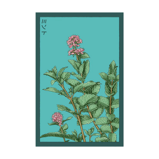 Shido Mint Seed Packet
