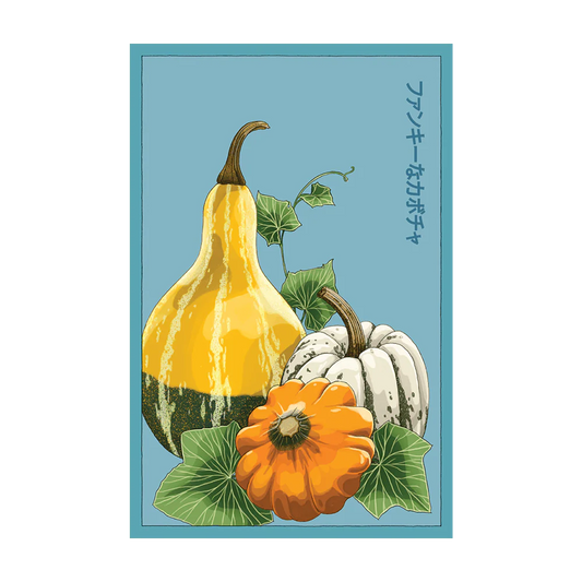 Shido Funky Squash Seed Packet