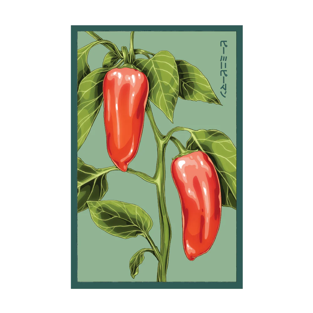 Shido Mini Sweet Pepper Seed Packet