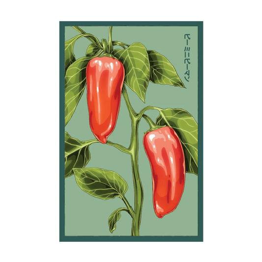 Shido Mini Sweet Pepper Seed Packet