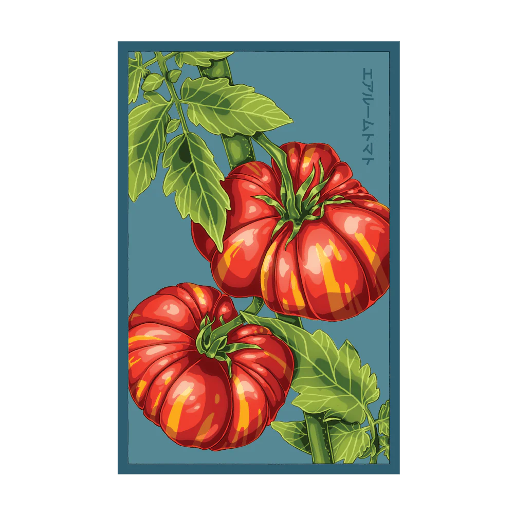 Shido Heirloom Tomato 'Old German' Seed Packet