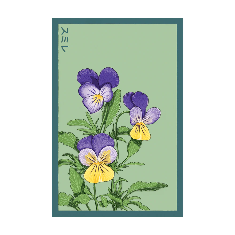 Shido Pansy Seed Packet
