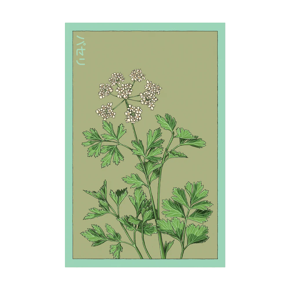 Shido Parsley Seed Packet