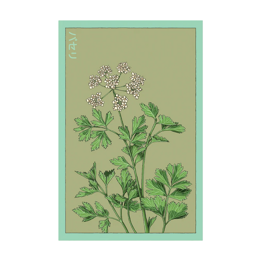 Parsley Seed Packet