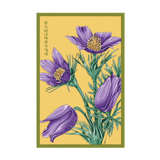 The Greater Pasque Flower Seed Packet