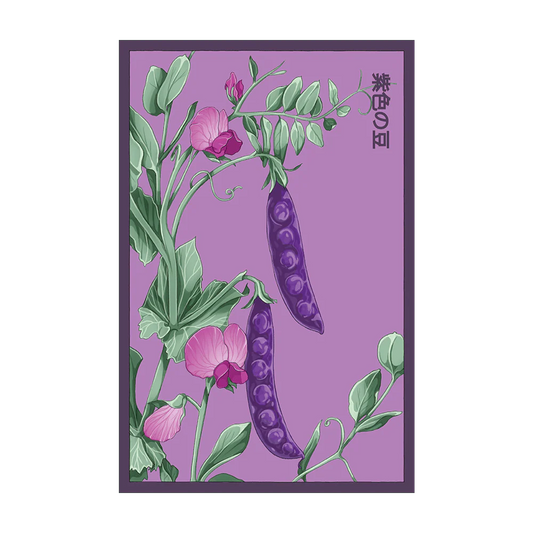 Purple Pea Seed Packet