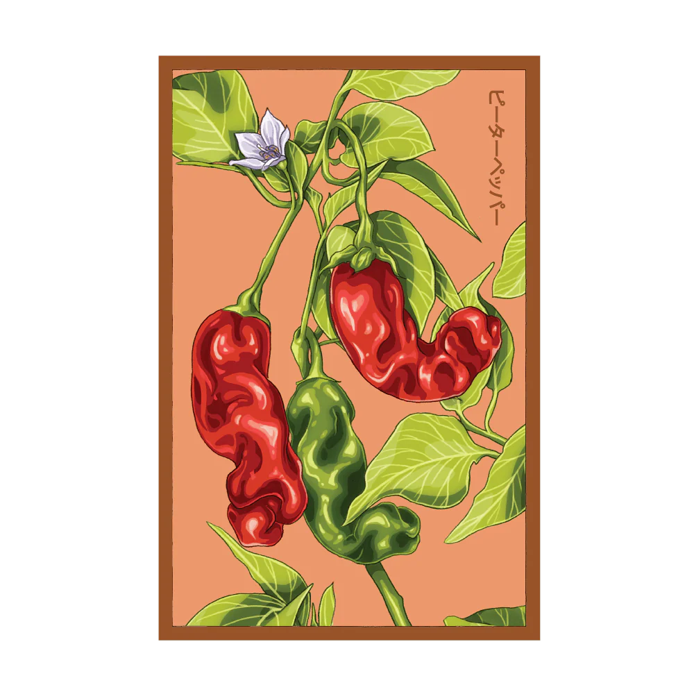 Shido Peter Pepper Seed Packet