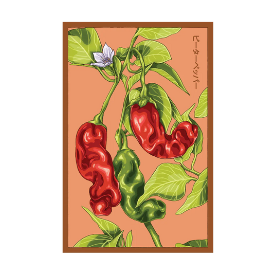 Peter Pepper Seed Packet