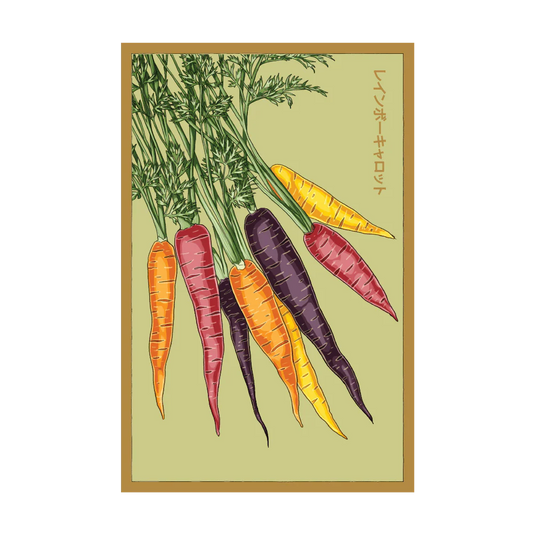 Rainbow Carrot Seed Packet