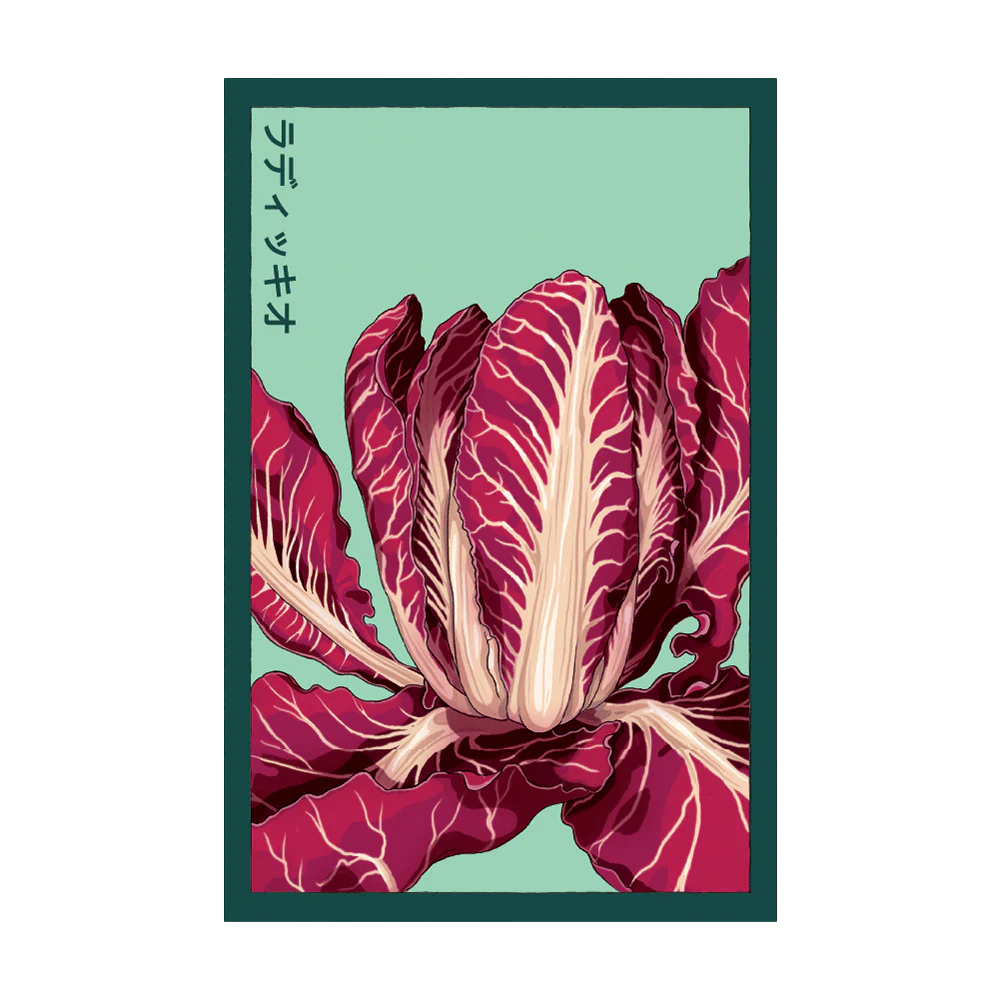 Radicchio Seed Packet