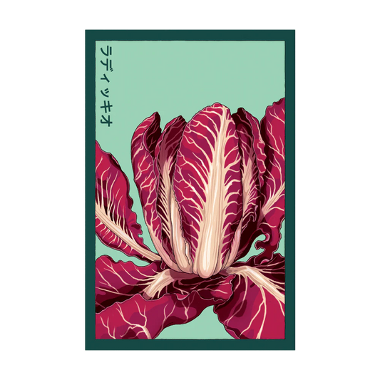 Radicchio Seed Packet