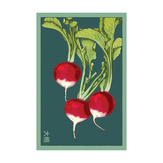 Radish Seed Packet