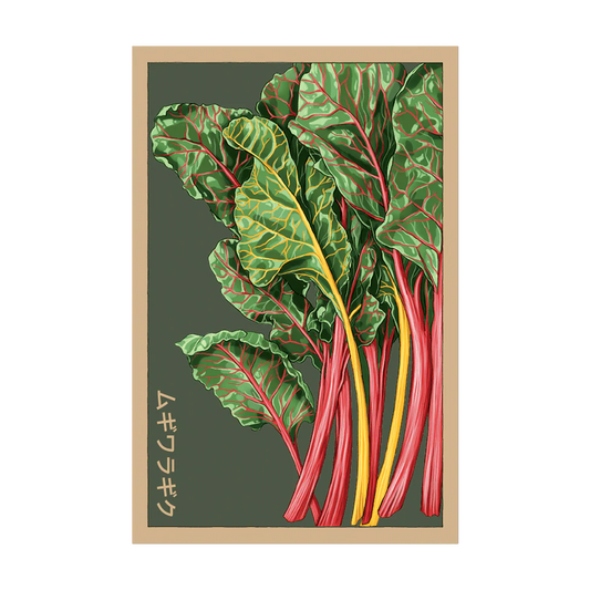 Rainbow Chard Seed Packet
