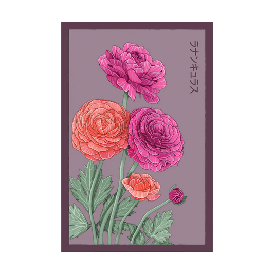 Ranunculus Seed Packet