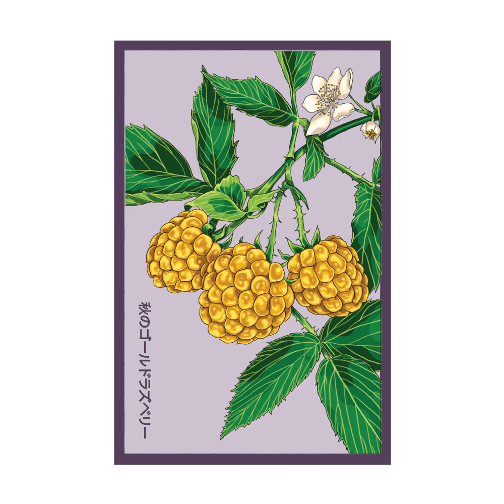 Raspberry 'Fall Gold' Seed Packet