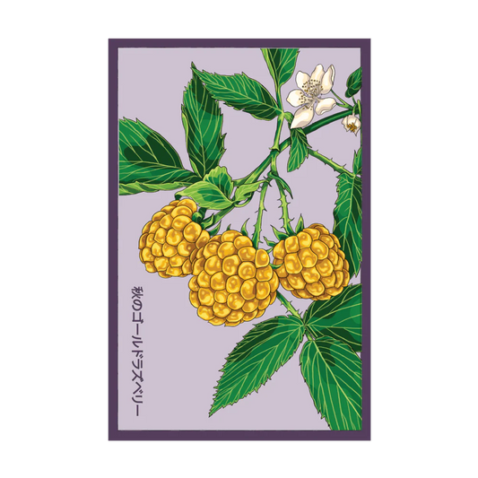 Raspberry 'Fall Gold' Seed Packet