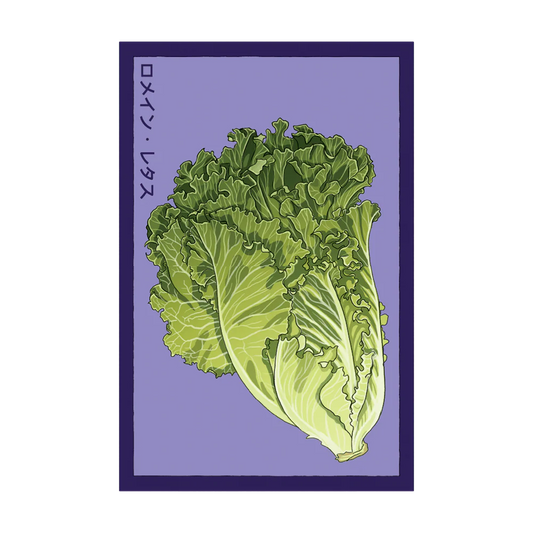 Romaine Lettuce Seed Packet