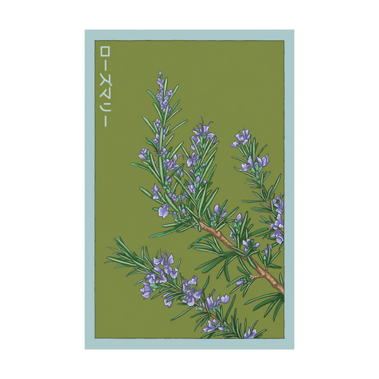 Rosemary Seed Packet