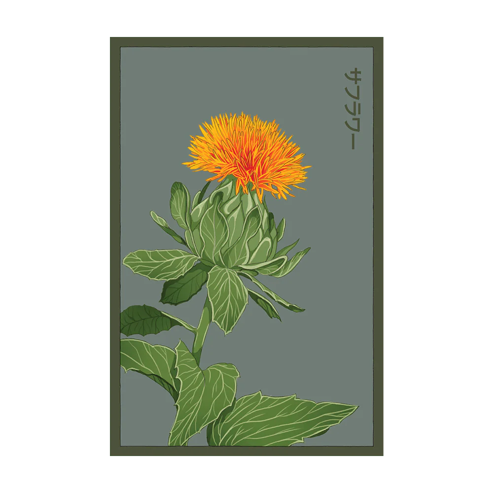 Shido Safflower Seed Packet