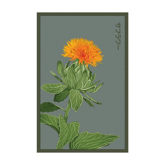 Safflower Seed Packet