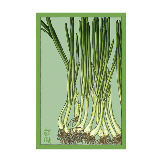 Scallion Seed Packet
