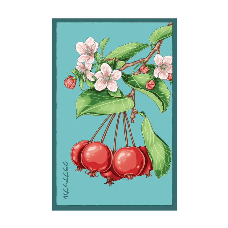 Siberian Crabapple Seed Packet