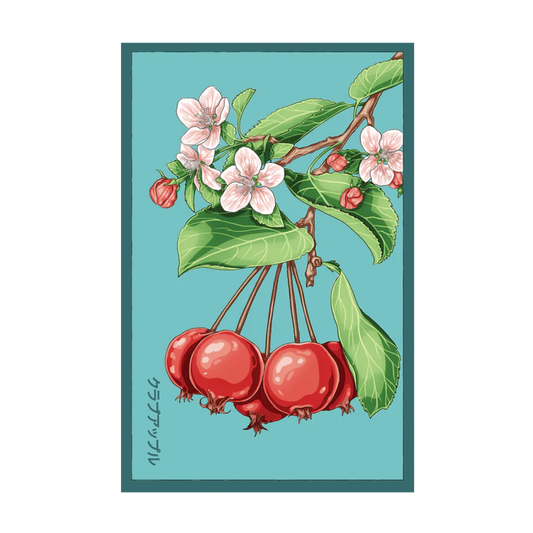 Siberian Crabapple Seed Packet