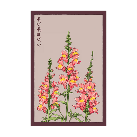 Snapdragon Seed Packet