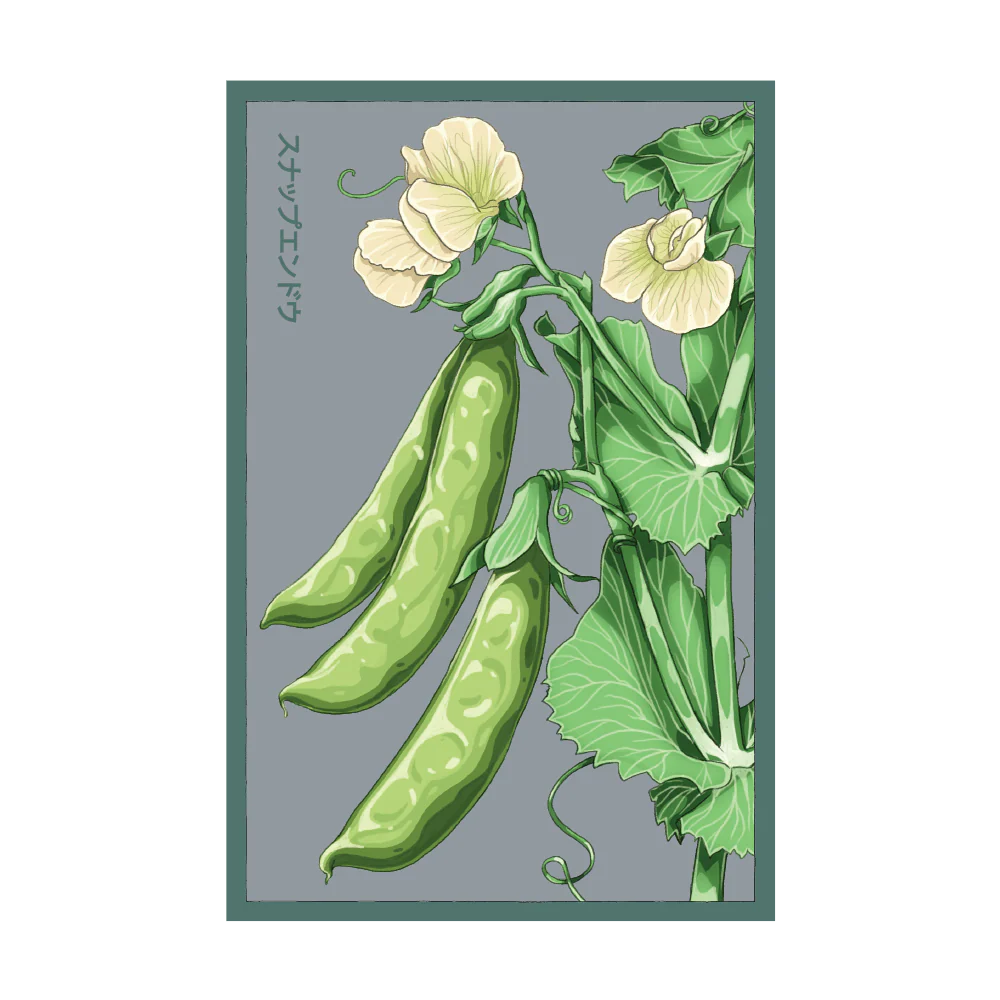 Shido Sugar Snap Pea Seed Packet