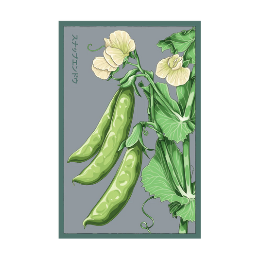 Sugar Snap Pea Seed Packet