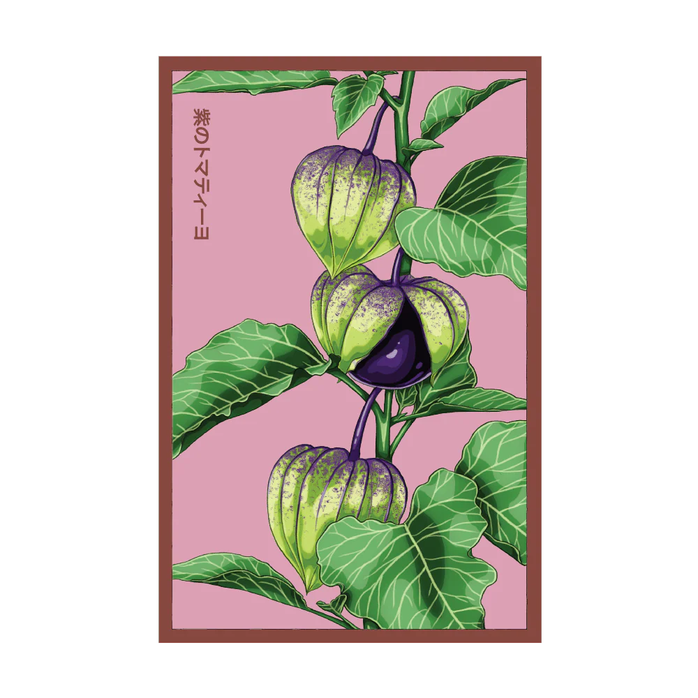 Shido Sweet Purple Tomatillo Seed Packet