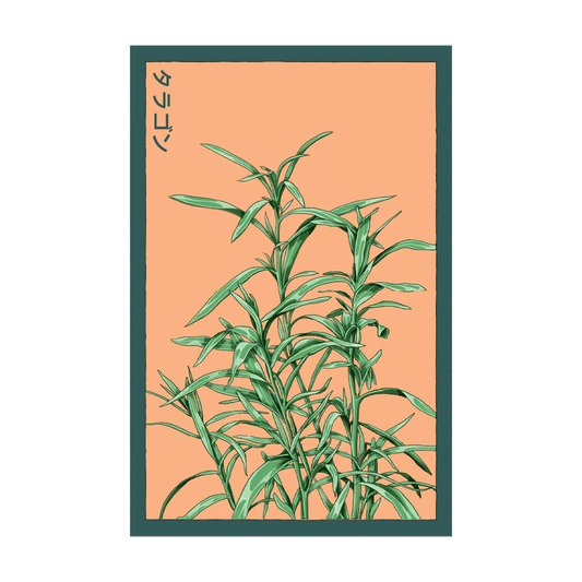 Tarragon Seed Packet