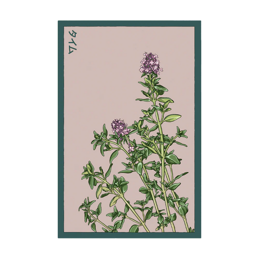 Thyme Seed Packet
