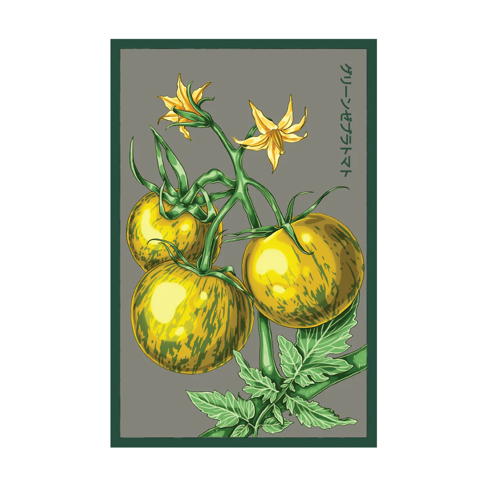 Tomato 'Green Zebra' Seed Packet