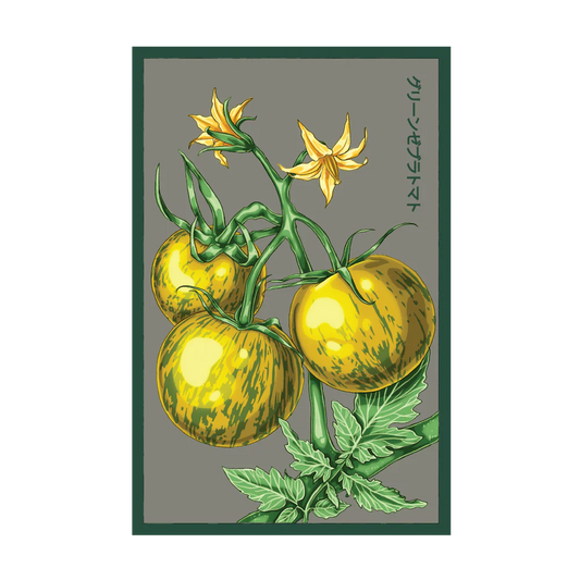 Tomato 'Green Zebra' Seed Packet