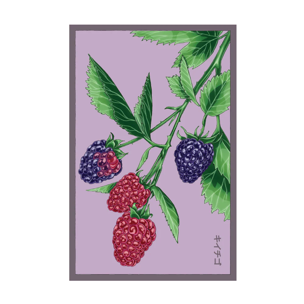 Tummelberry Seed Packet