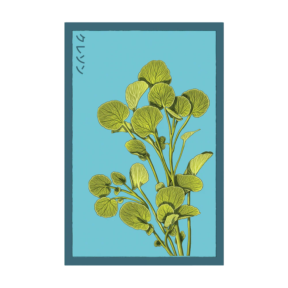 Shido Watercress Seed Packet