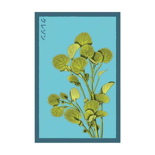 Watercress Seed Packet